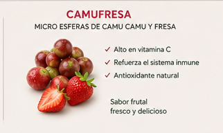 Camufresa + Kombucha